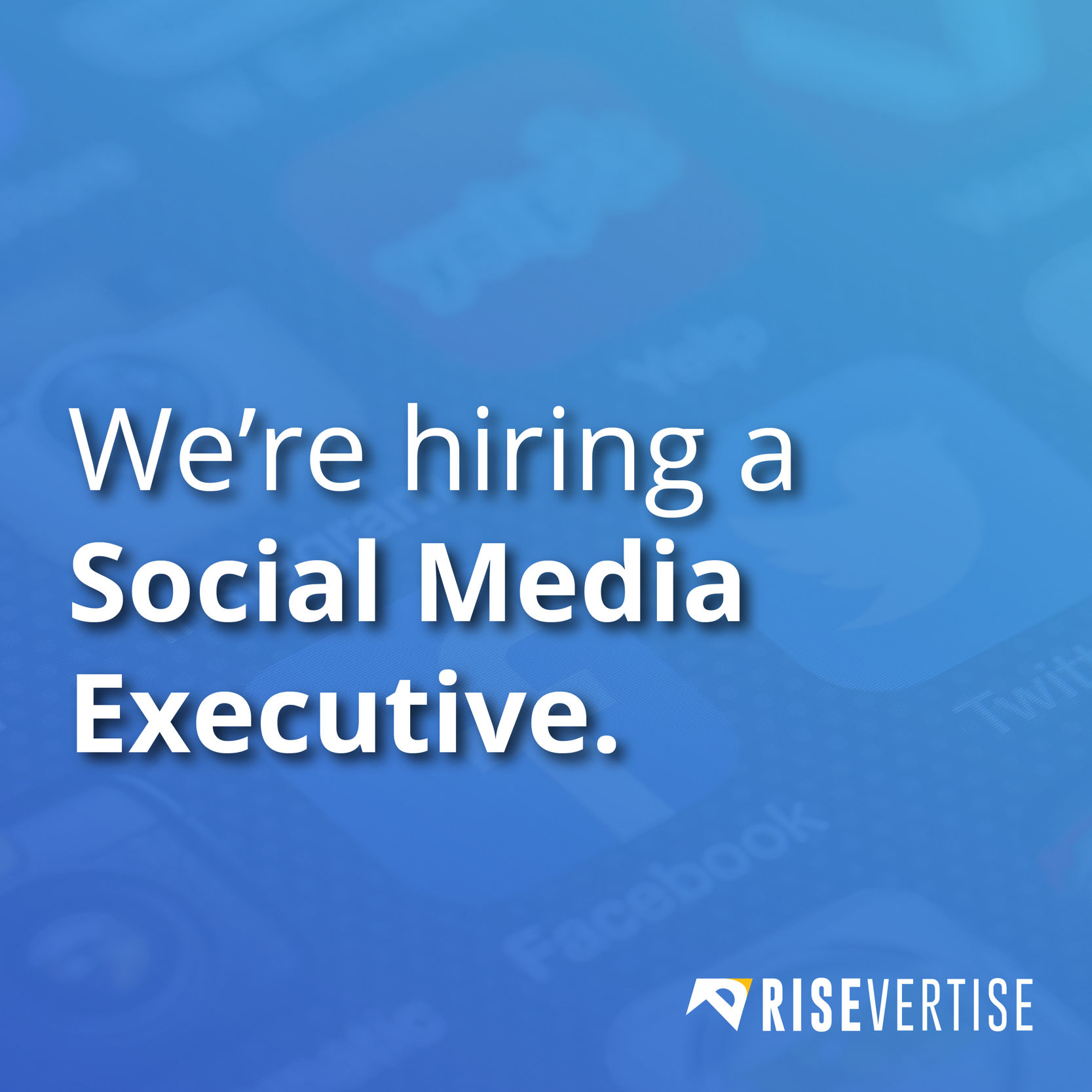 Job Opening: Social Media Executive